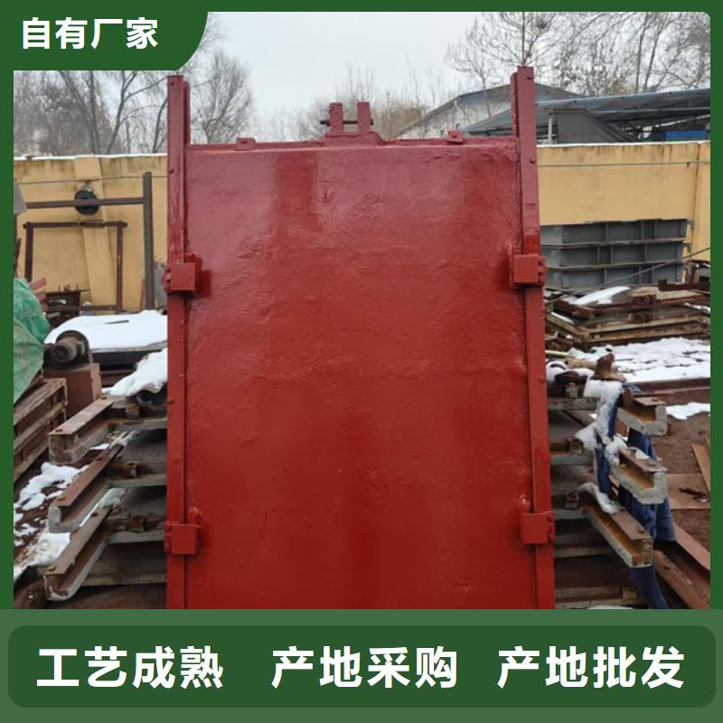 機閘一體式鑄鐵閘門源頭廠家