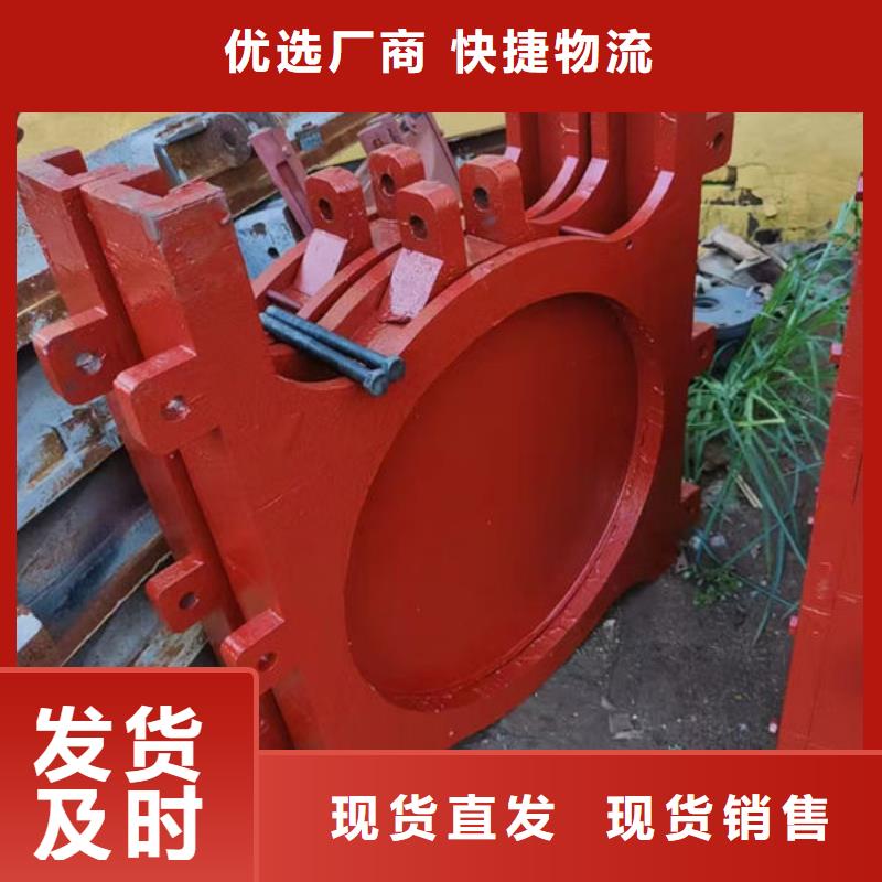泵站鑄鐵閘門規格齊全