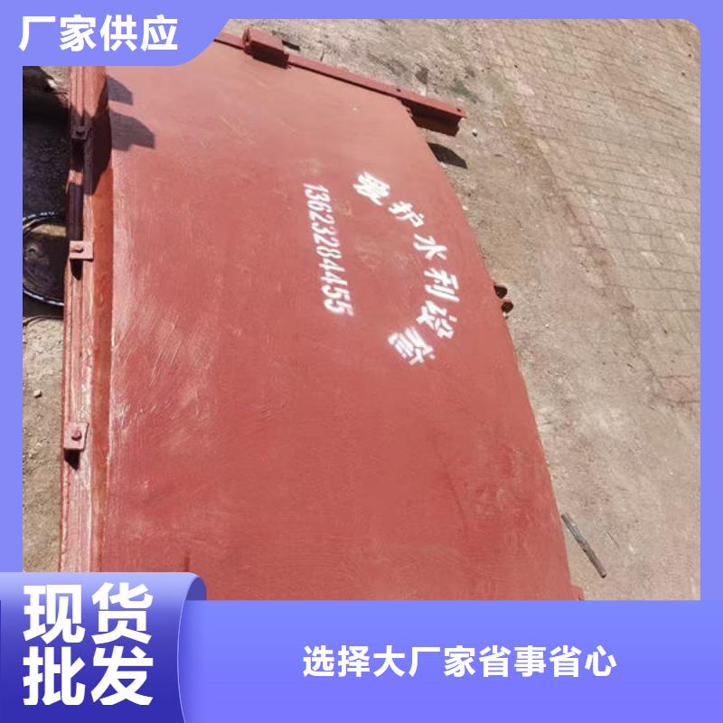 铸铁闸门镶铜铸铁闸门生产厂家