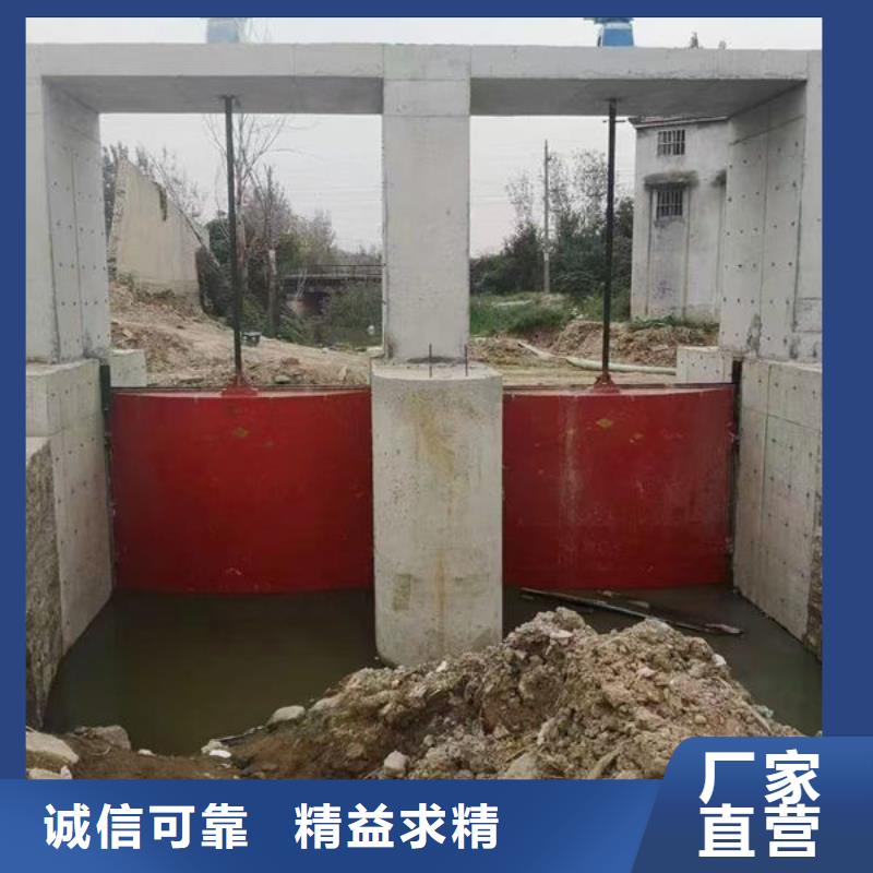 鑄鐵閘門-復合閘門專業設計