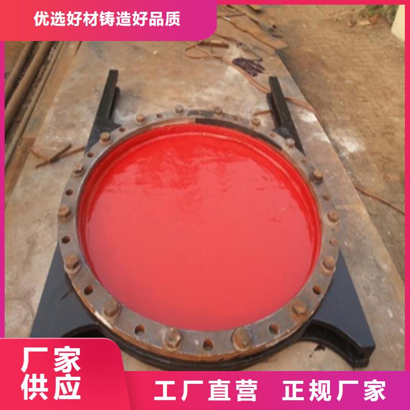 铸铁闸门镶铜铸铁闸门生产厂家