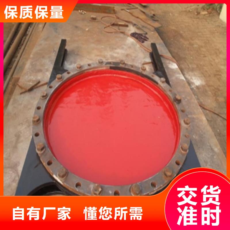 铸铁闸门泵站铸铁闸门实力大厂家