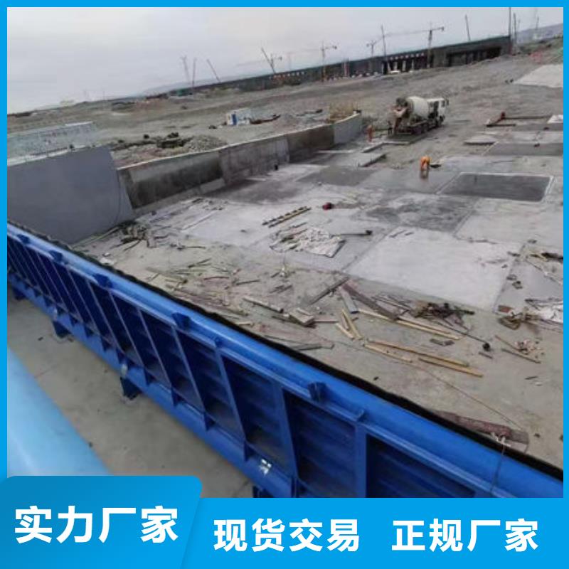 鋼壩閘門,景觀鋼閘門實力工廠