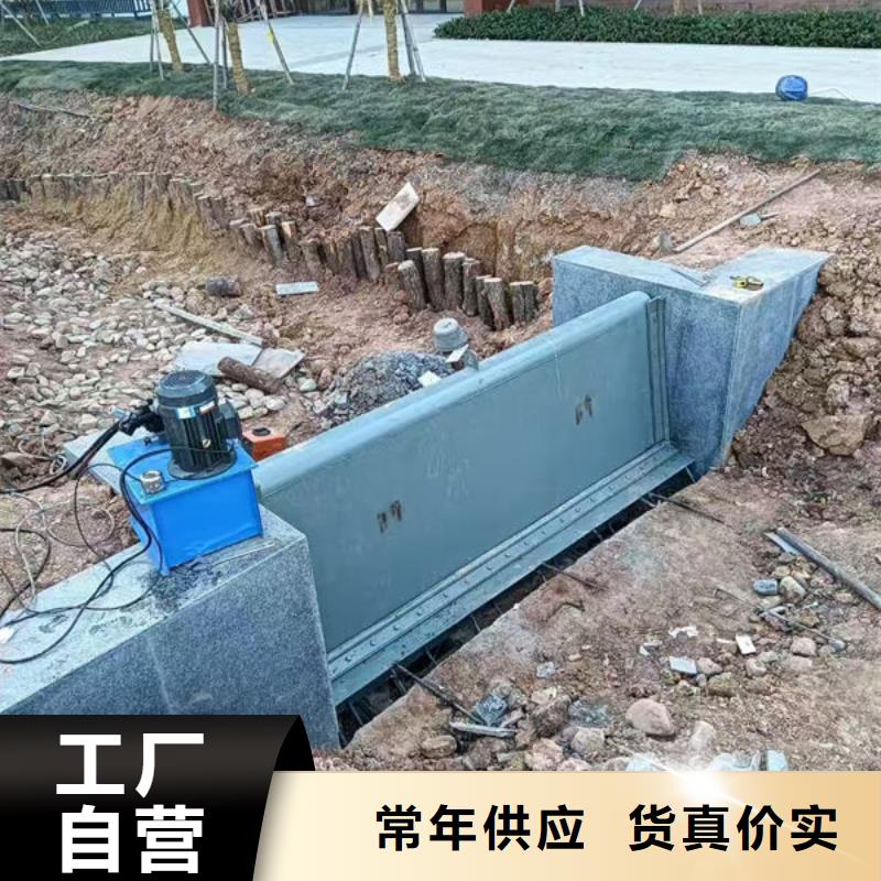 钢坝闸门_平板钢闸门交货准时