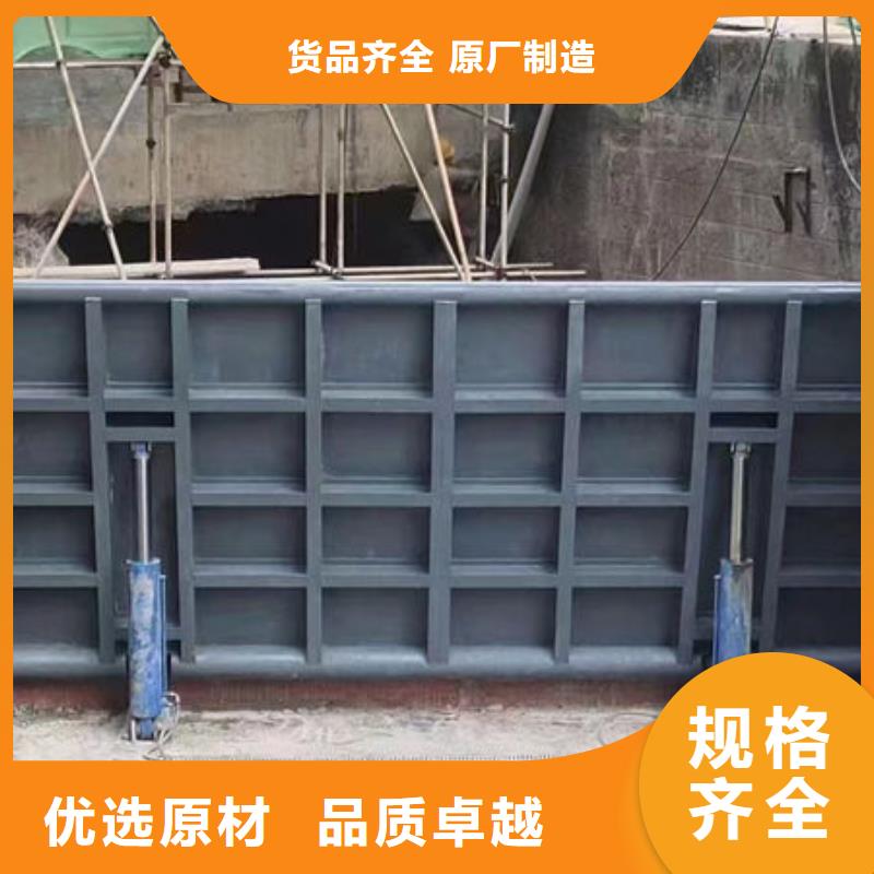 平板鋼閘門規格齊全
