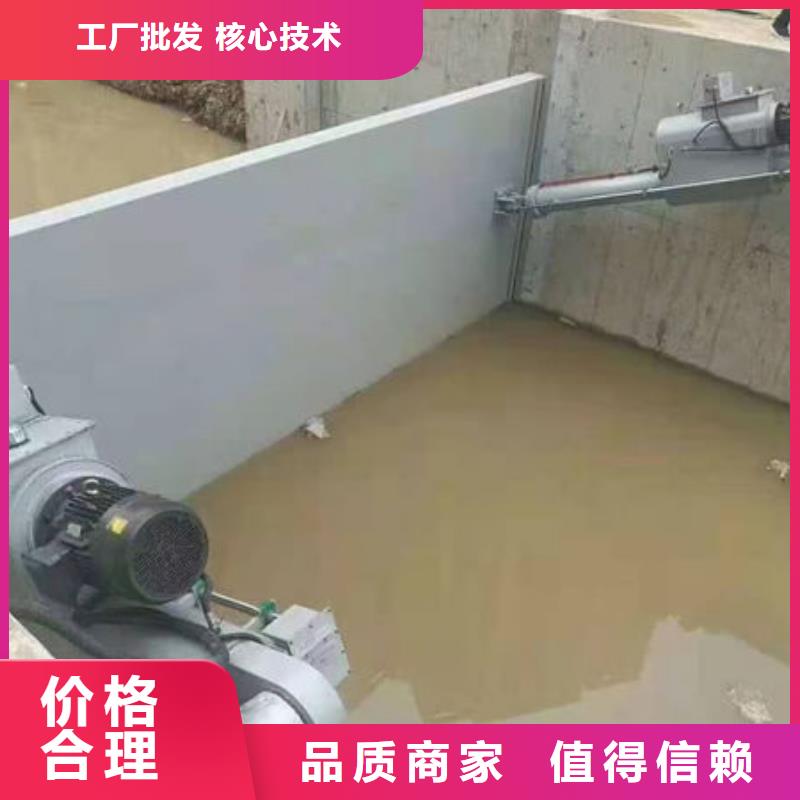 翻板閘門本地廠家