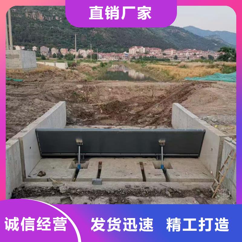 钢坝闸门钢制拍门诚信商家