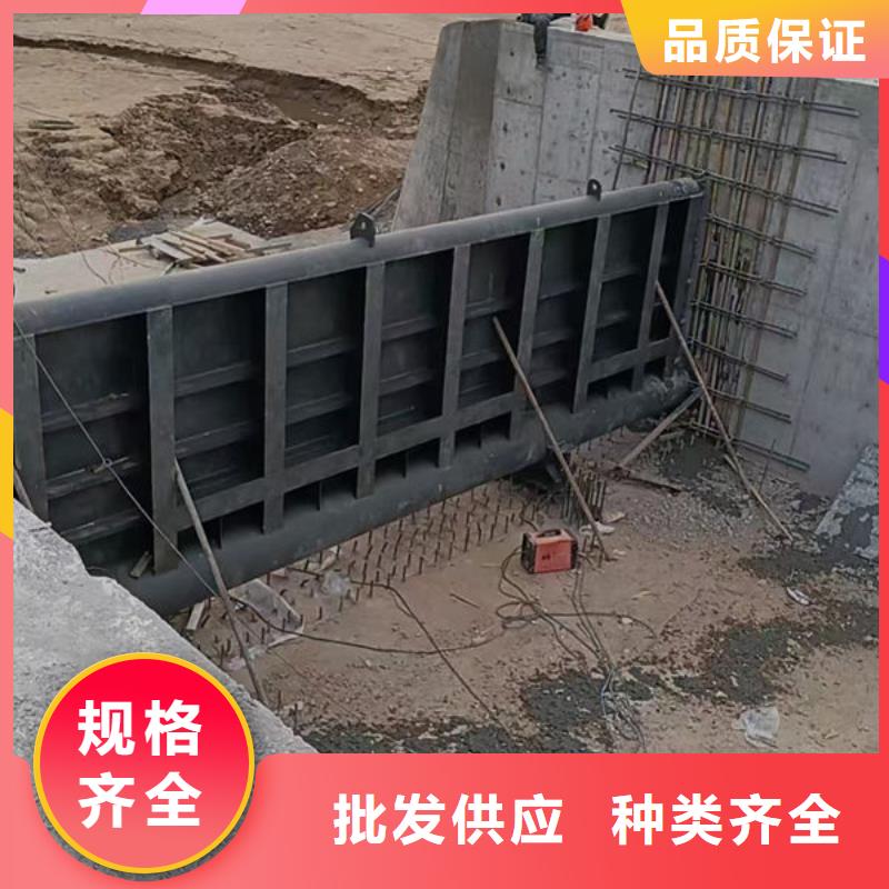 鋼壩閘門底軸液壓閘門生產加工