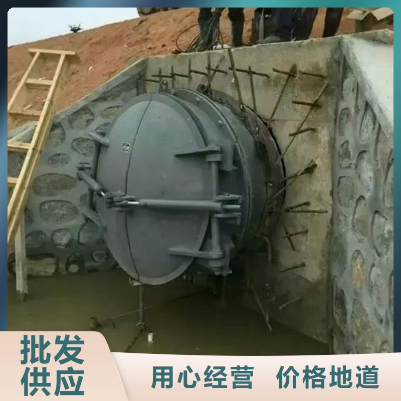 拍門球墨鑄鐵拍門經(jīng)久耐用