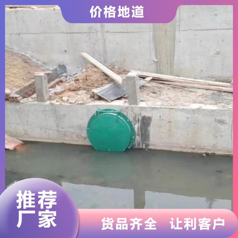 拍門鋼制拍門型號全價格低