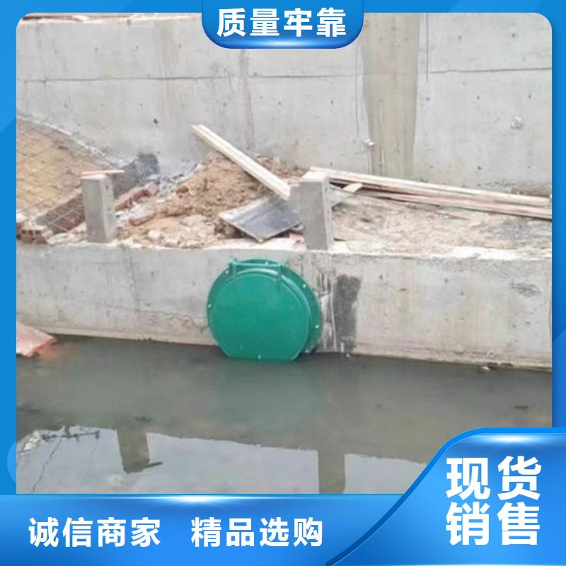 拍門鋼制拍門歡迎來電咨詢