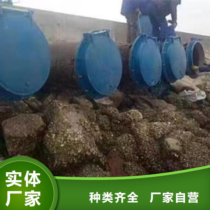 鋼拍門暢銷全國