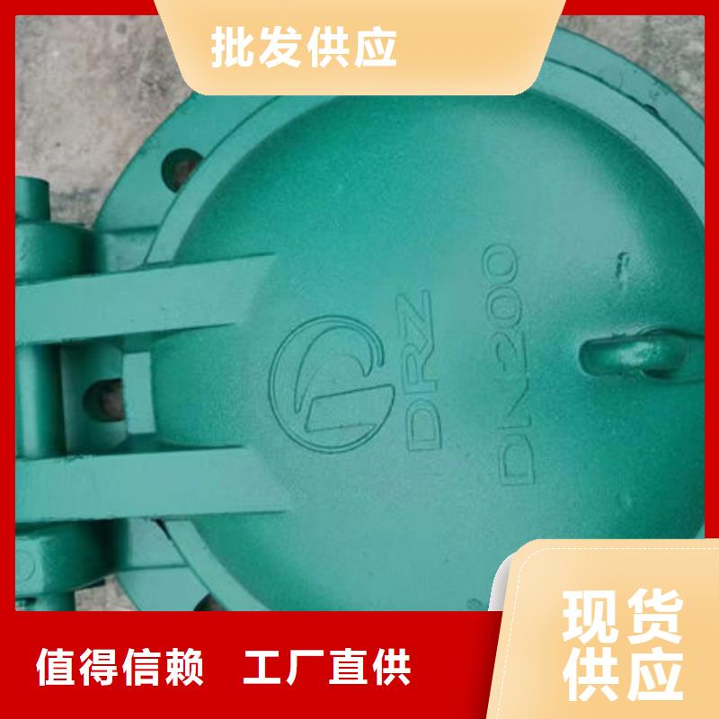 拍門鋼制拍門歡迎來電咨詢