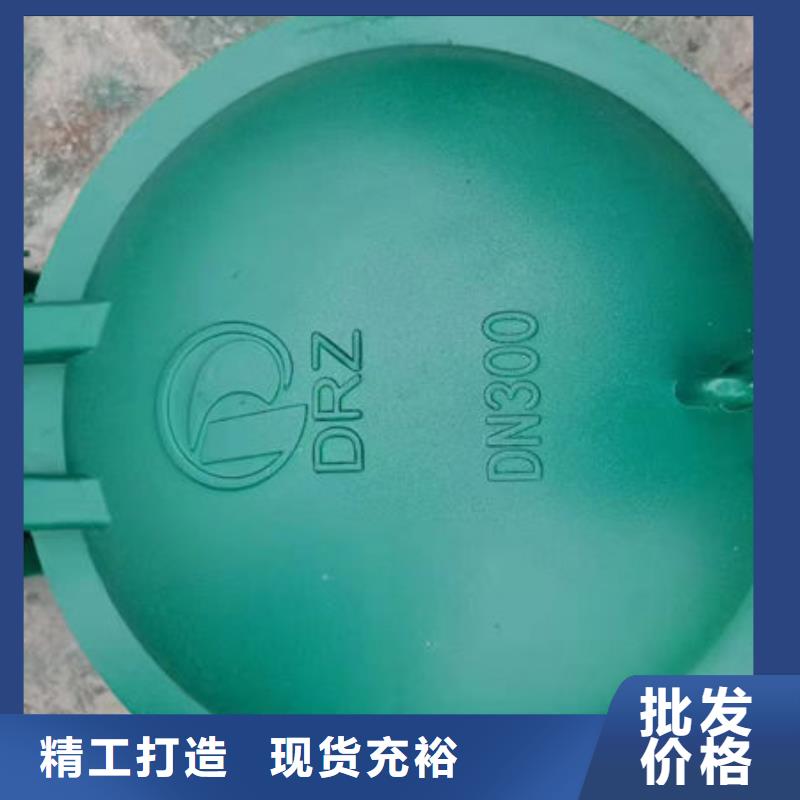 拍門防倒灌拍門實力商家供貨穩定