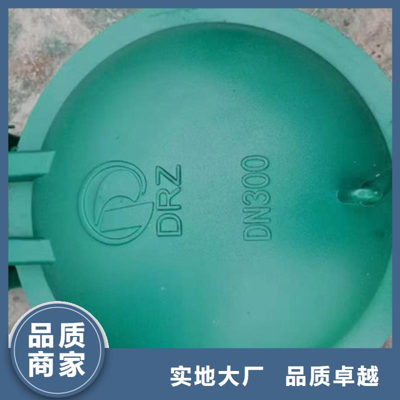不銹鋼拍門歡迎咨詢