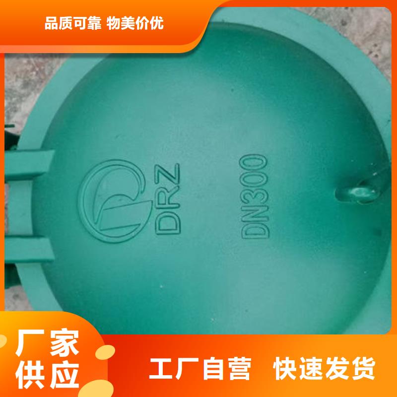 拍門鋼制拍門型號全價格低