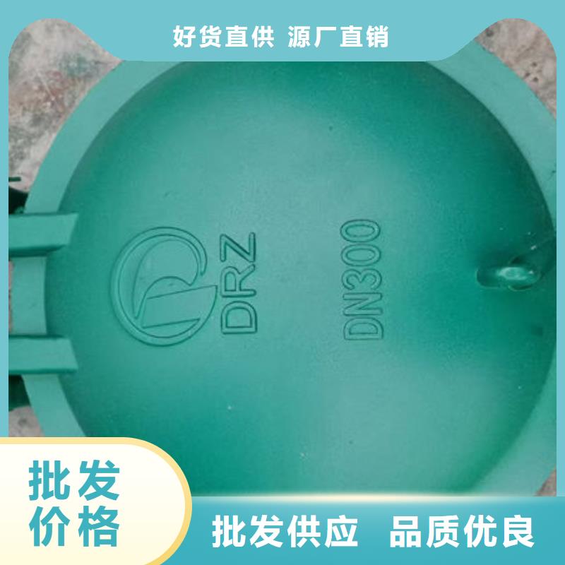 拍門防倒灌拍門實力商家供貨穩定