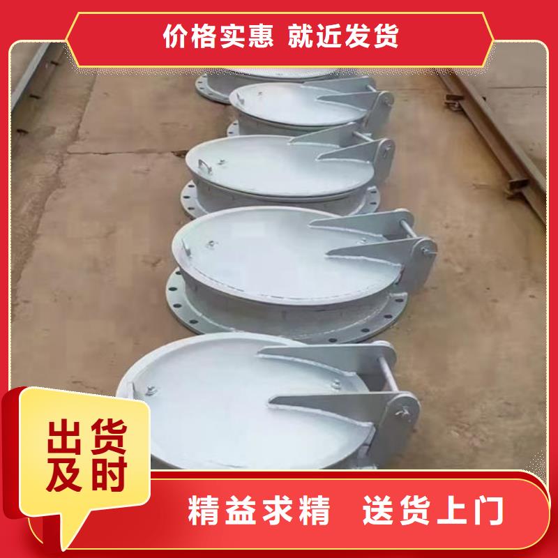 拍門防倒灌拍門實力商家供貨穩定