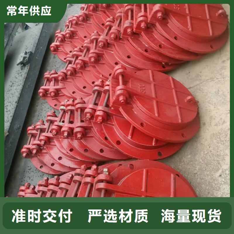拍門防倒灌拍門值得信賴