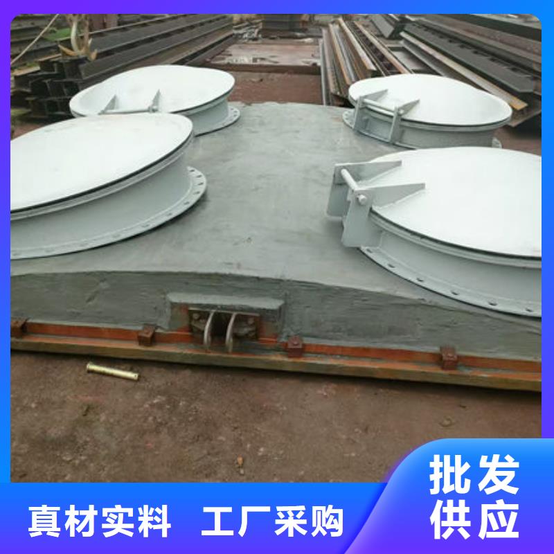 拍門鋼制拍門打造好品質