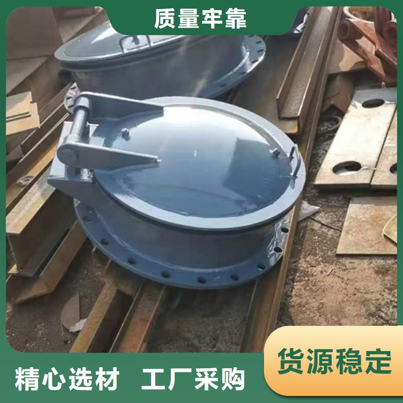 拍門球墨鑄鐵拍門合作共贏