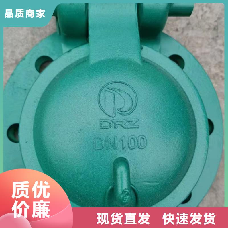 拍門,鑄鐵拍門擁有多家成功案例