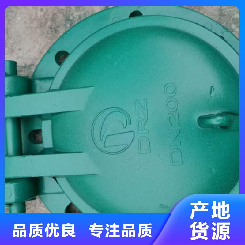 拍門鋼拍門廠家批發價