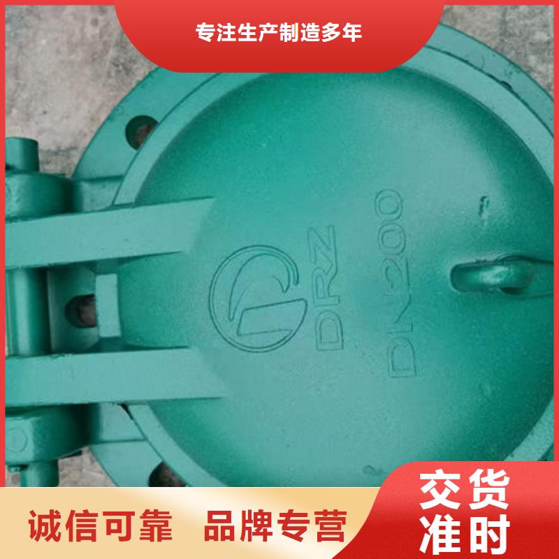 拍门铸铁拍门供货及时