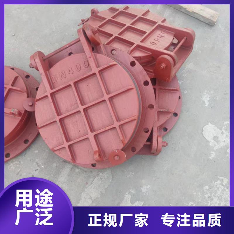 拍門,鋼制拍門發(fā)貨及時(shí)