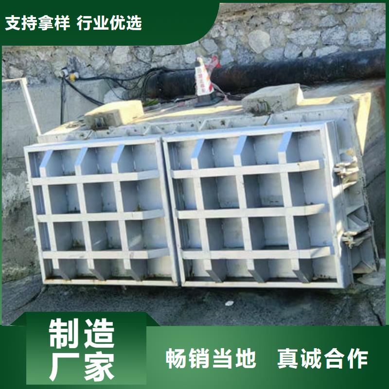 拍门钢拍门精工细致打造