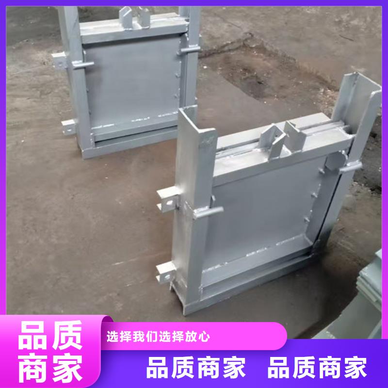 雙止水不銹鋼閘門廠家直銷