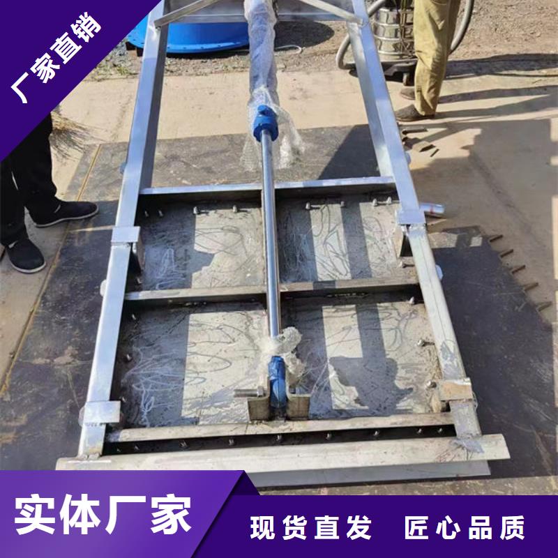 不銹鋼閘門附壁式不銹鋼閘門N年生產經驗