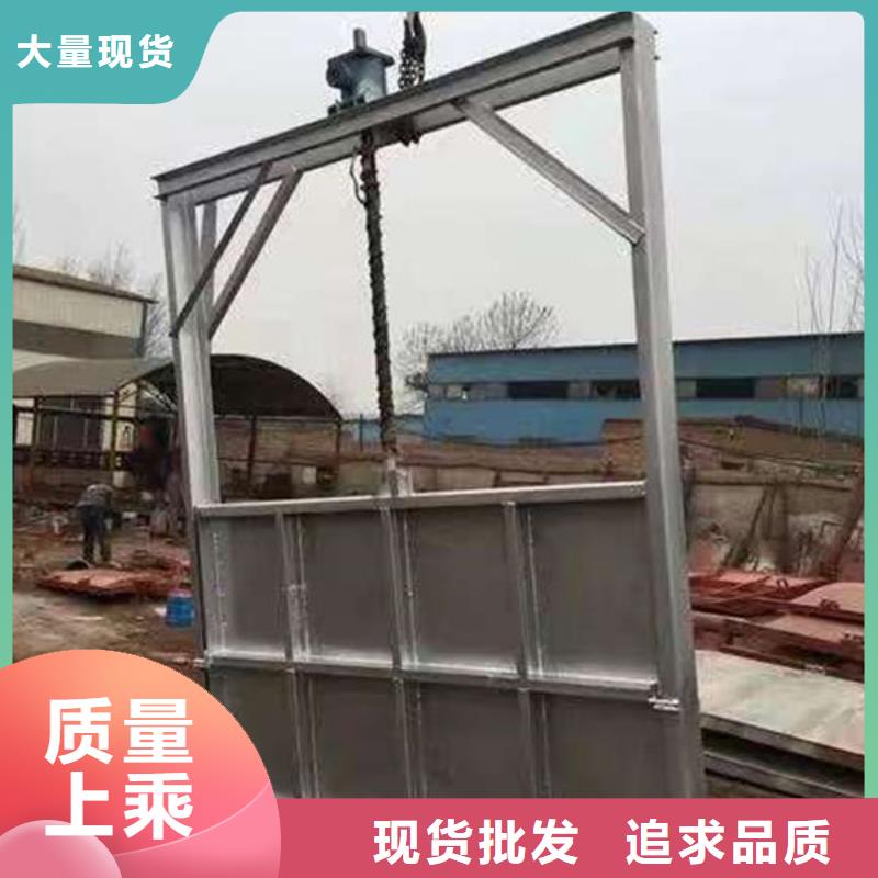 不銹鋼閘門雙止水不銹鋼閘門海量貨源