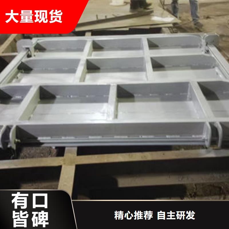 不銹鋼閘門單面止水不銹鋼閘門品牌專營