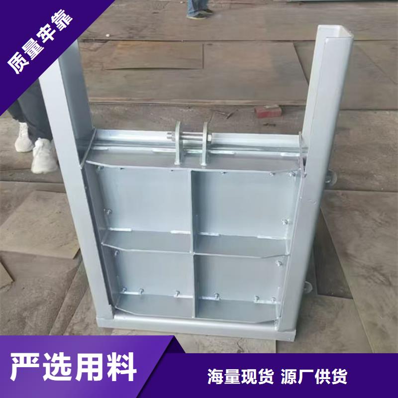 雙止水不銹鋼閘門廠家直銷