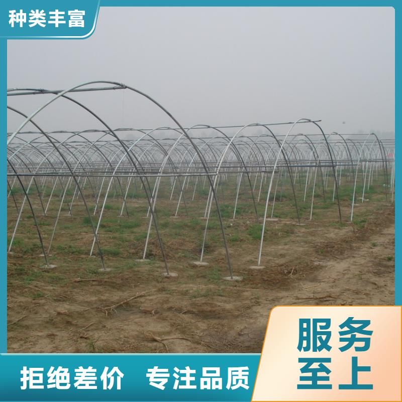 蔬菜大棚管—實力廠家