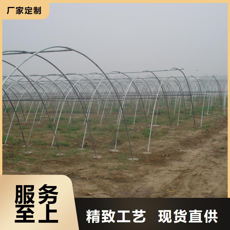 溫室大棚-蔬菜大棚造價(jià)可定做