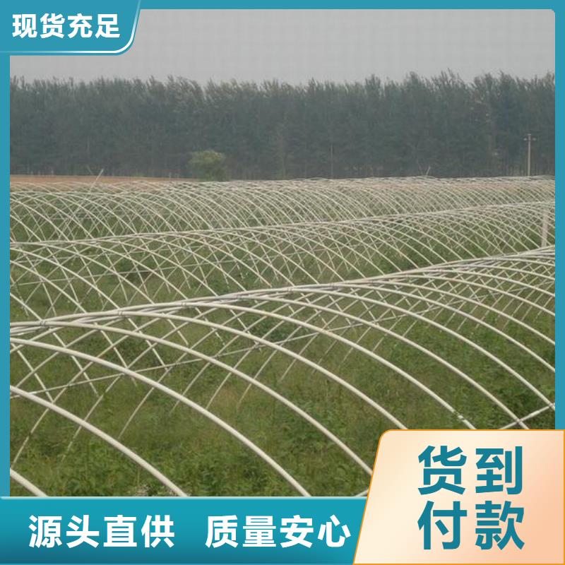 溫室大棚管定做