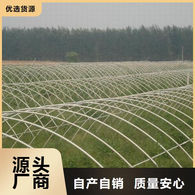 熱鍍鋅大棚管|4分/6分/1寸發貨快