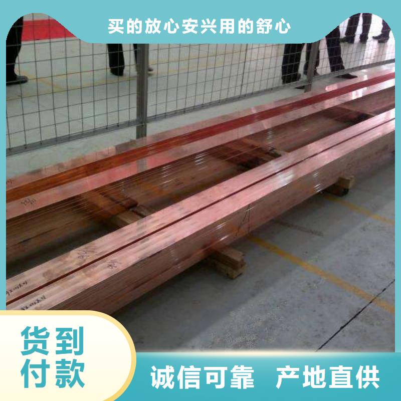 靜電防雷T2紫銅排發貨快
