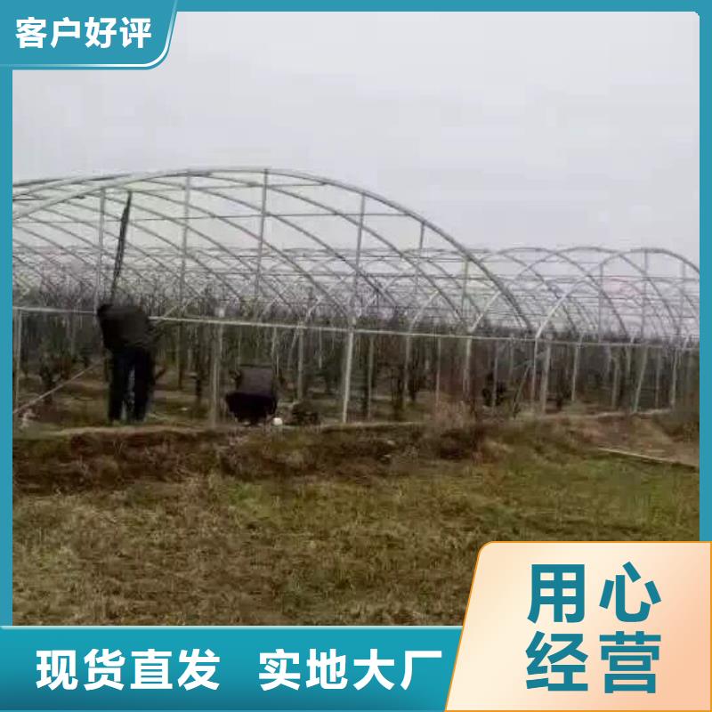 无缝方矩管视频-前进|富锦|牡丹江|绥化|黑河|哈尔滨无缝方矩管选择我们选择放心-阔恒兴旺国际贸易(佳木斯市分公司)