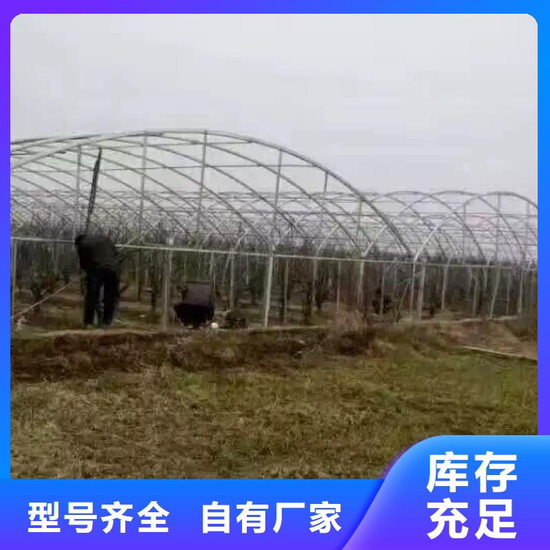 1寸鍍鋅管Q235B鍍鋅管有現(xiàn)貨