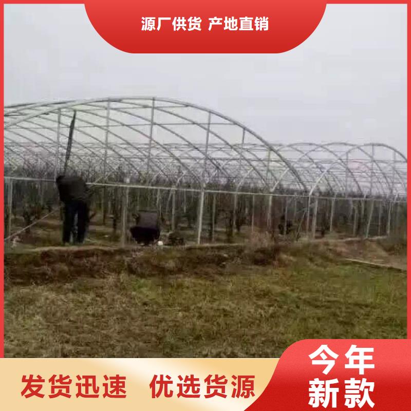 Q235B鍍鋅管發(fā)貨快