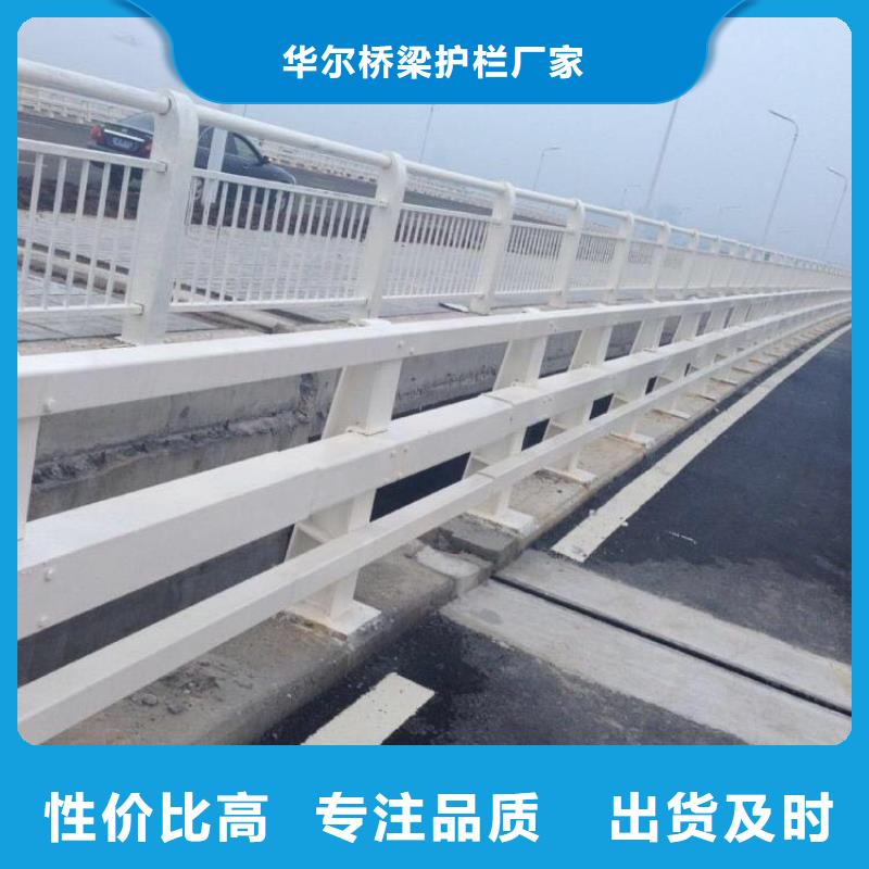 橋梁防撞護欄實力雄厚