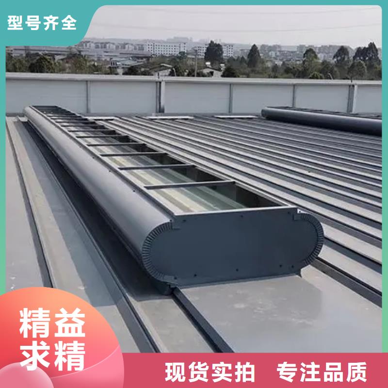 C1ST通風天窗批發報價
