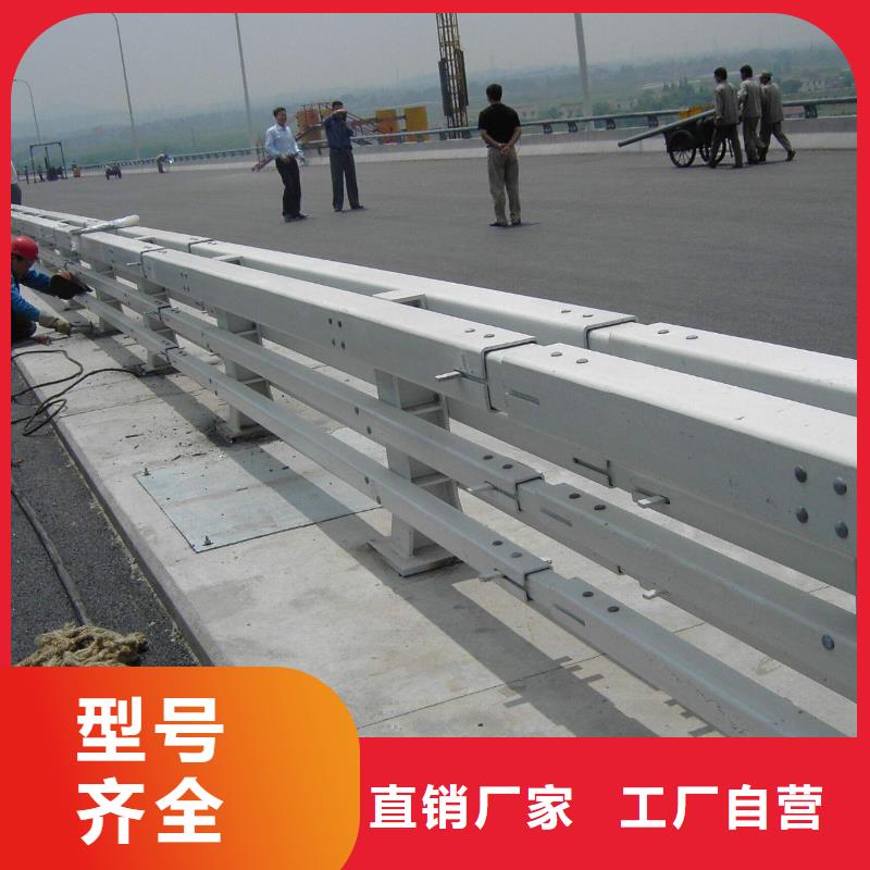 防撞護(hù)欄_立柱橋梁防撞護(hù)欄敢與同行比價格
