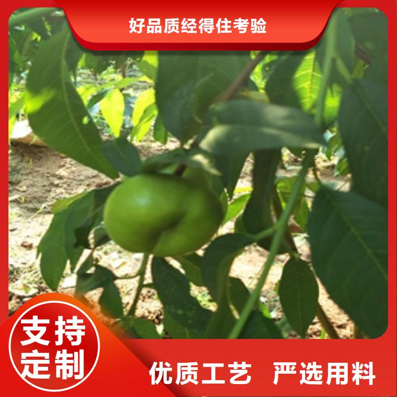 桃樹占地果樹廠家自營