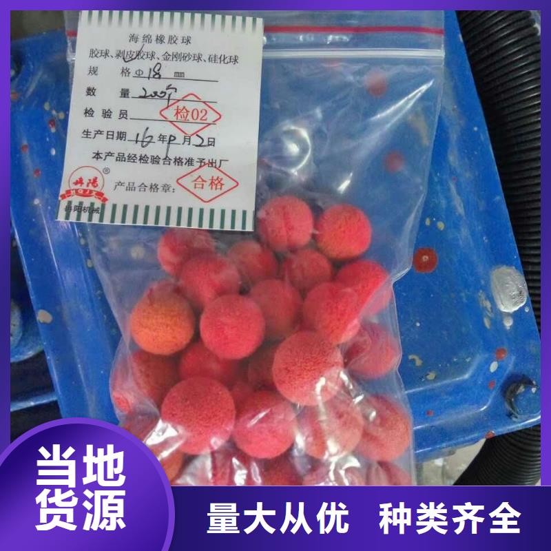 巴彥淖爾冷凝器膠球在線清洗裝置