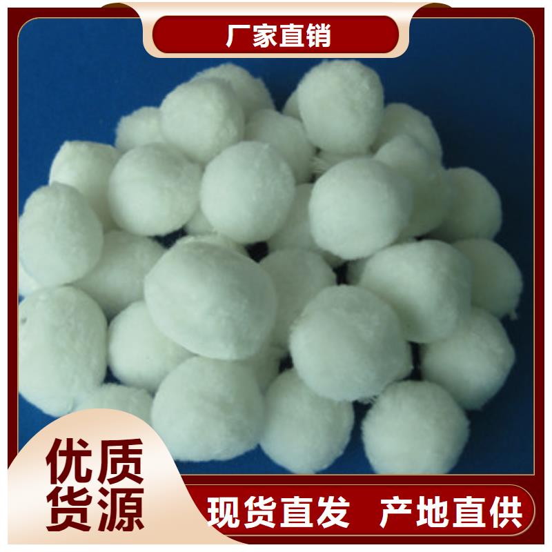 纖維球沸石來圖定制量大從優