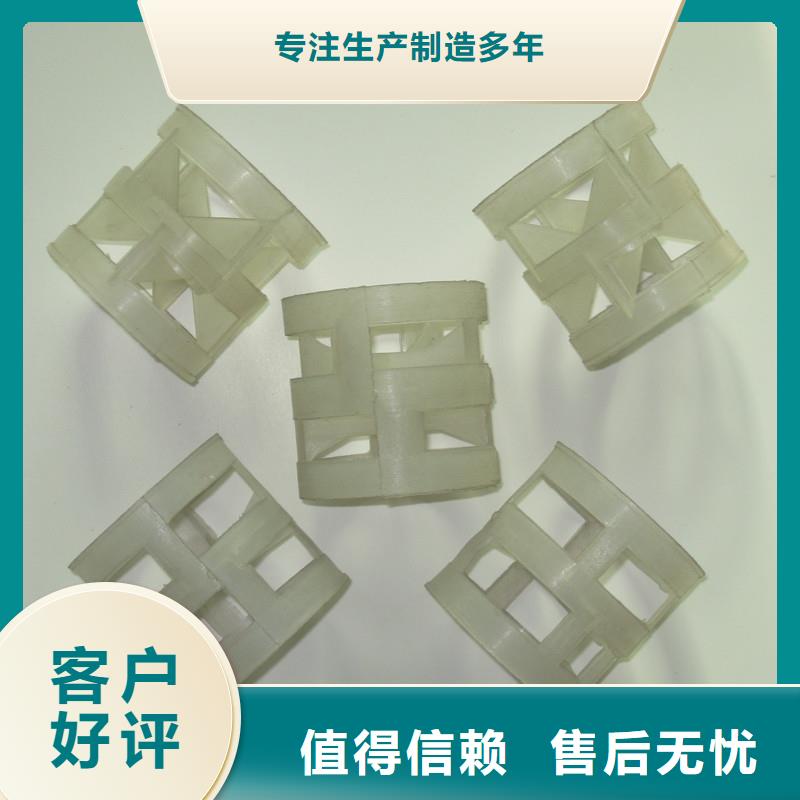 【鮑爾環(huán)_沸石源廠定制】